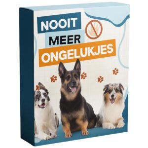 Nooit Meer Ongelukjes